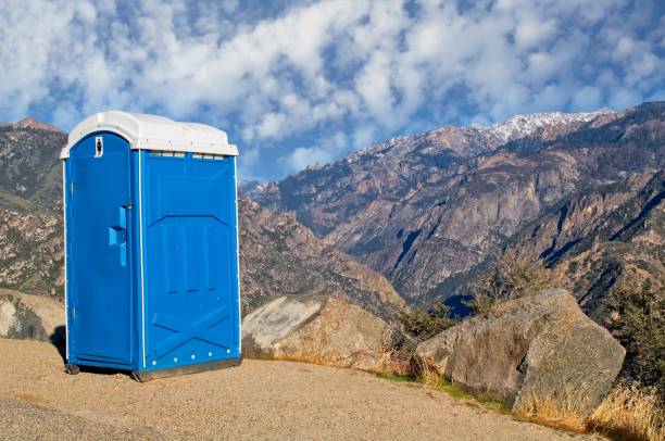Best Sanitation services for porta potties  in Venice, IL
